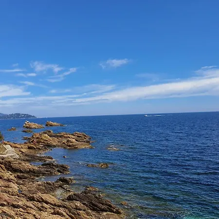 Chez Fredo Et Mag Le Lavandou